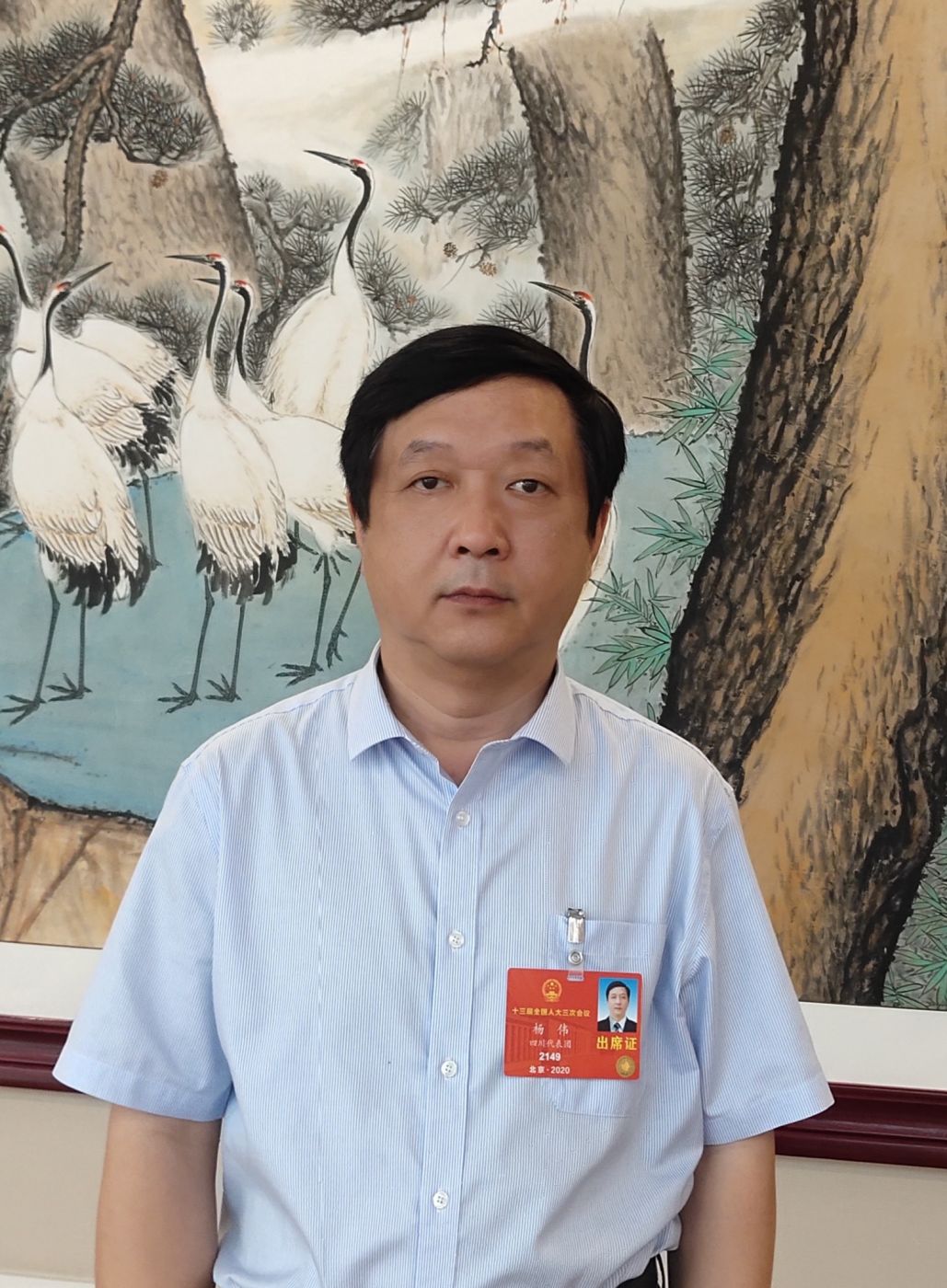 2.全国人大代表、中国科学院院士、米兰网页版-米兰MILAN(中国)副总经理杨伟